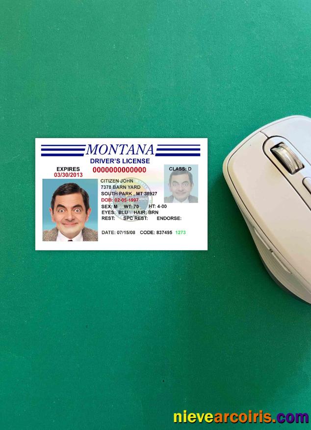 USA Montana driving license version 3 photolook